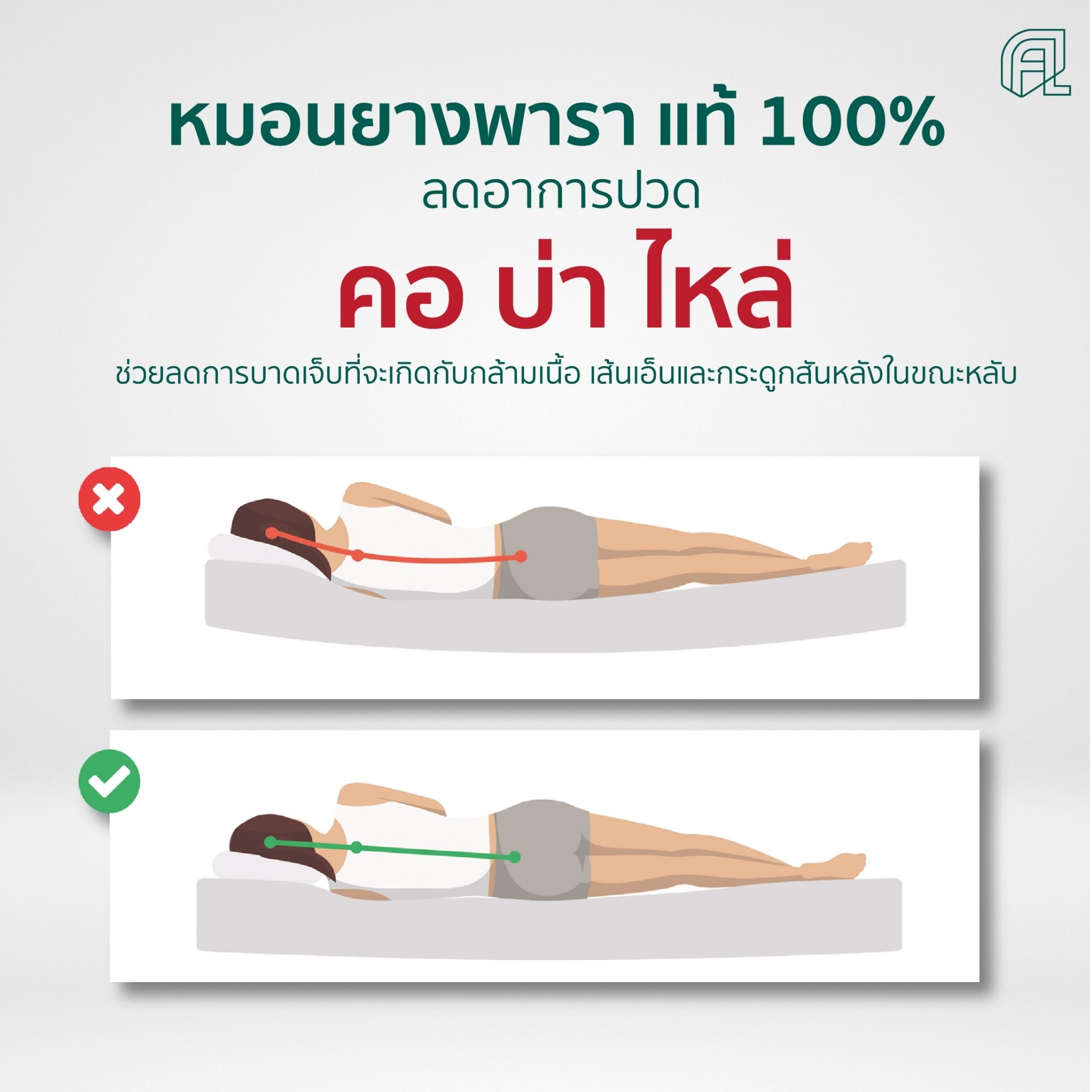 หมอนยางพารา Contour Massage